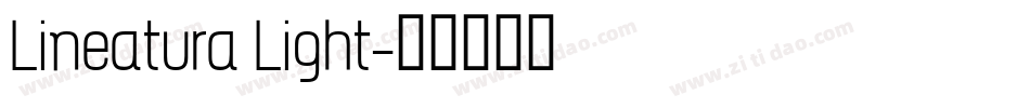 Lineatura Light字体转换